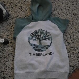 Timberland Kids' Hoodie in Green and Gray